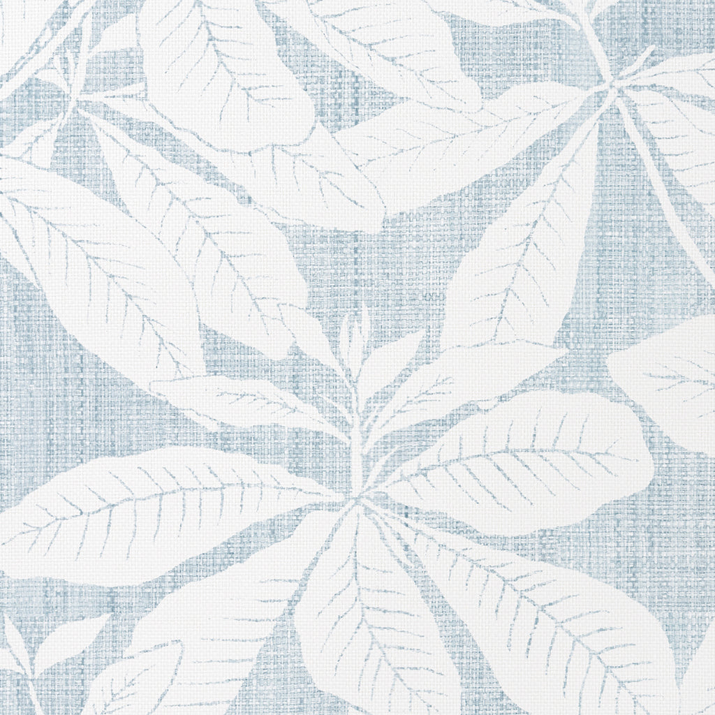 Foglia - Madagascar - Sky (Wallpaper Memo)