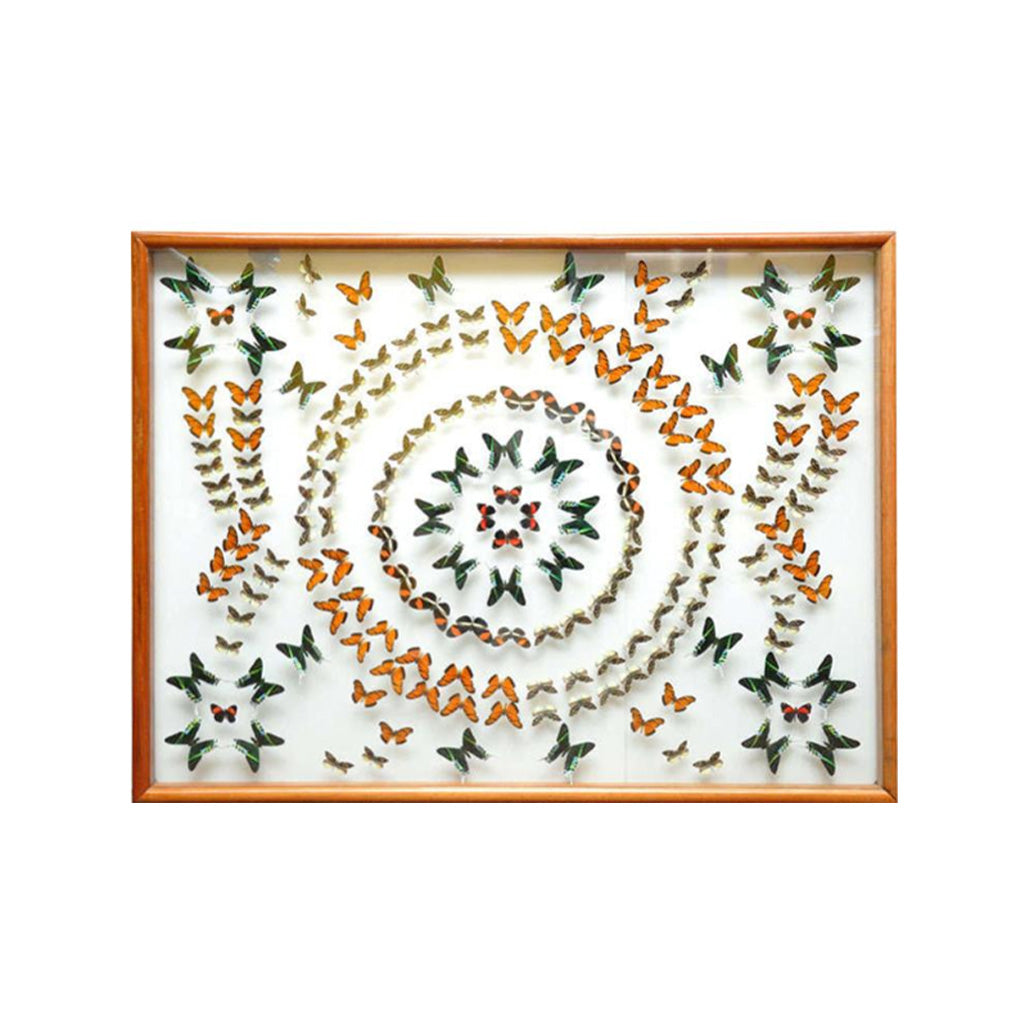Butterfly Collection Mosaic