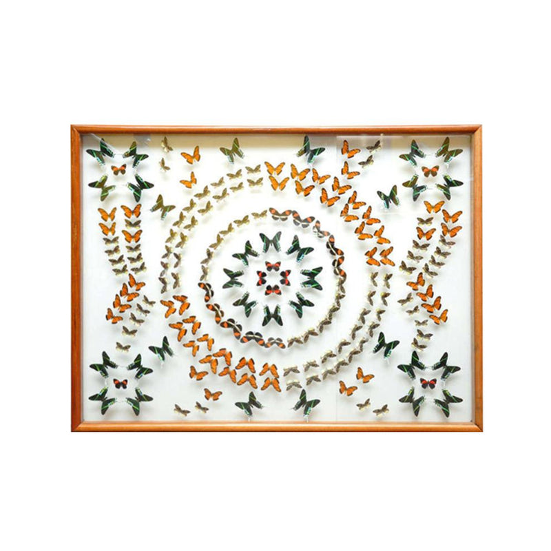 Butterfly Collection Mosaic