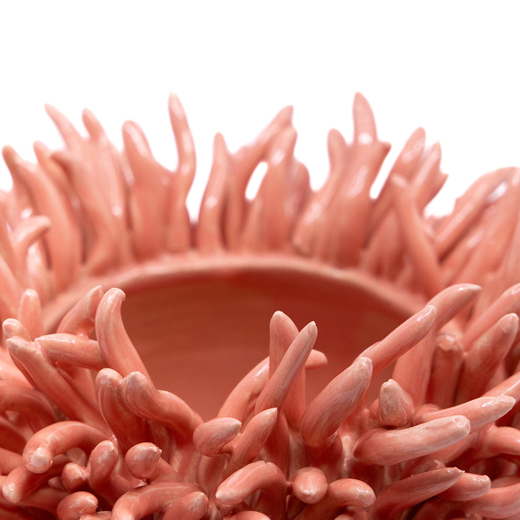Coral