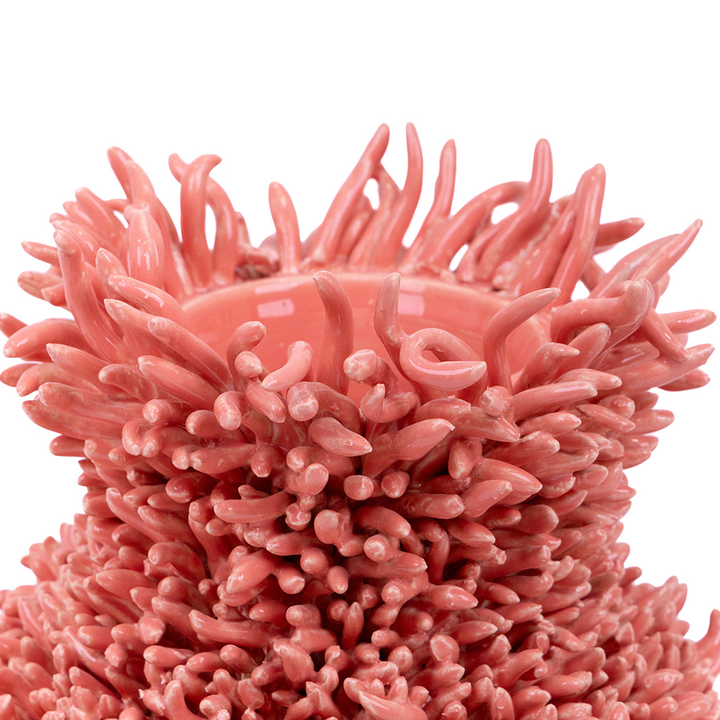 Coral