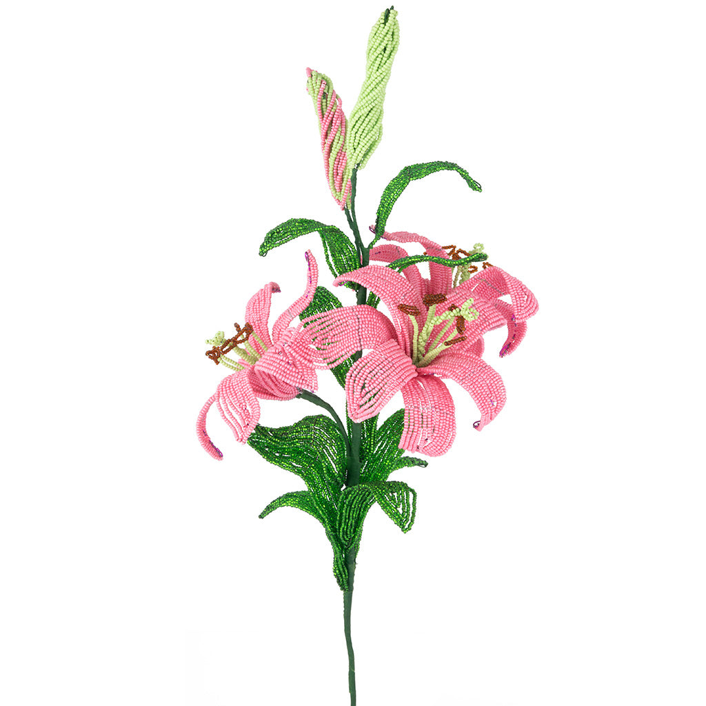 Lily Branch