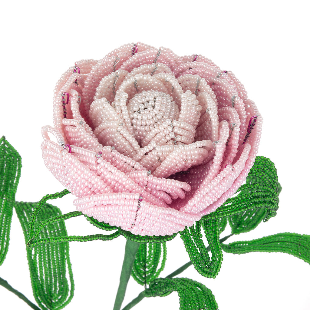 Peony Stem