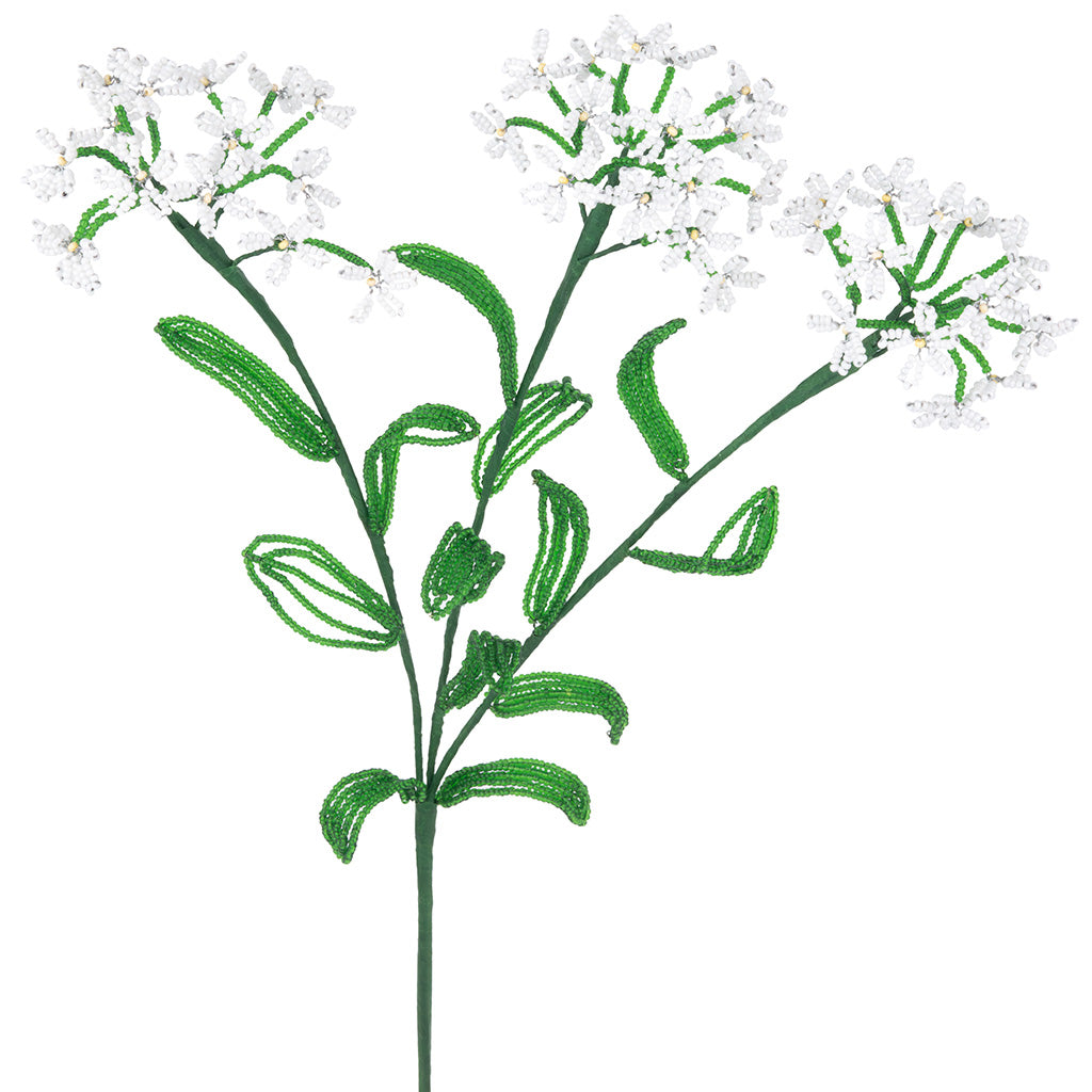 Yarrow