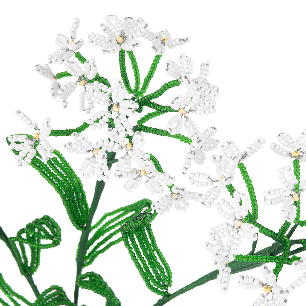 Yarrow
