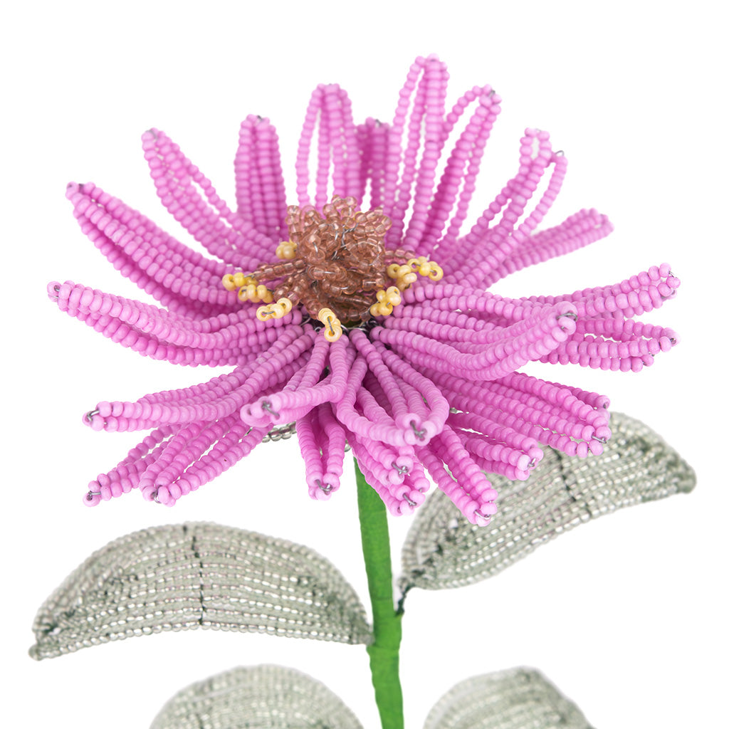 Zinnia Stem