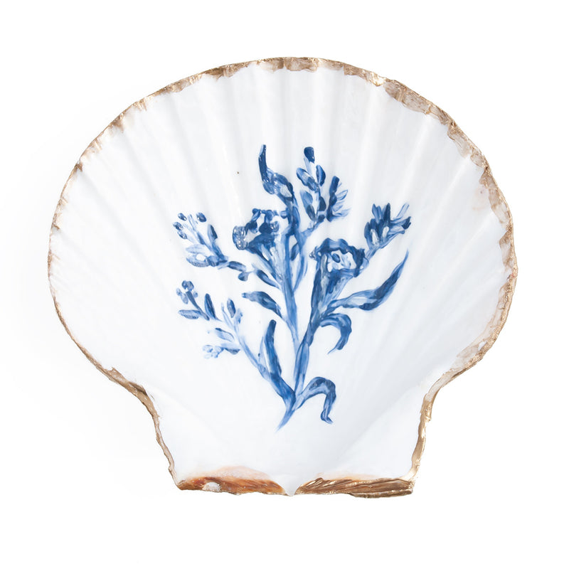 Hand-Painted Seashells