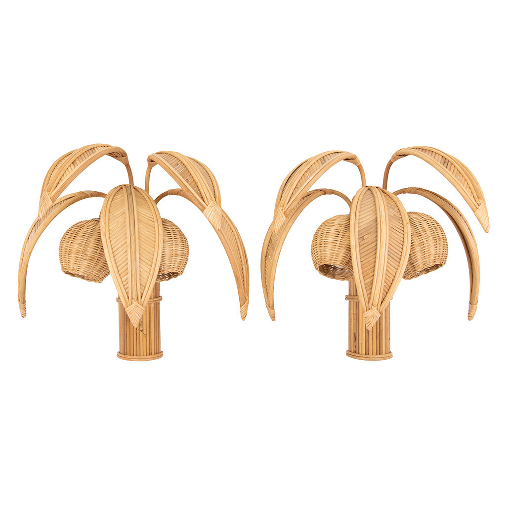 Pair of Coconut Sconces