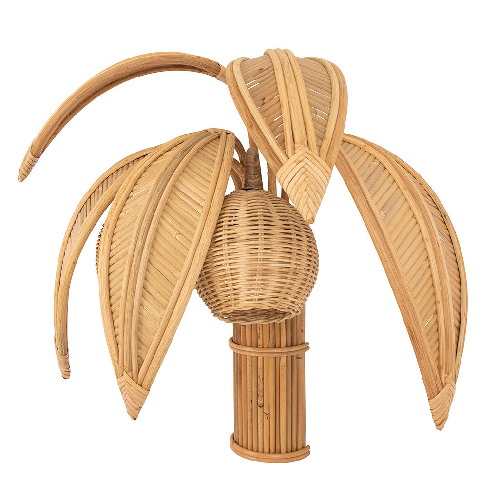 Pair of Coconut Sconces