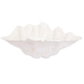 Giant Clamshell Bowl