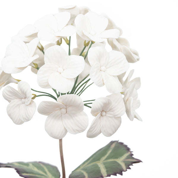 White Bisque Porcelain Hydrangeas in a Square Rattan