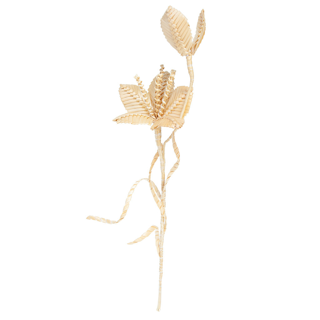Lily with bud