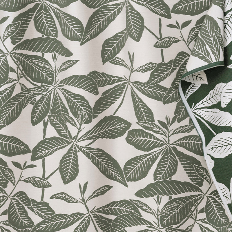 Ivory & Moss
