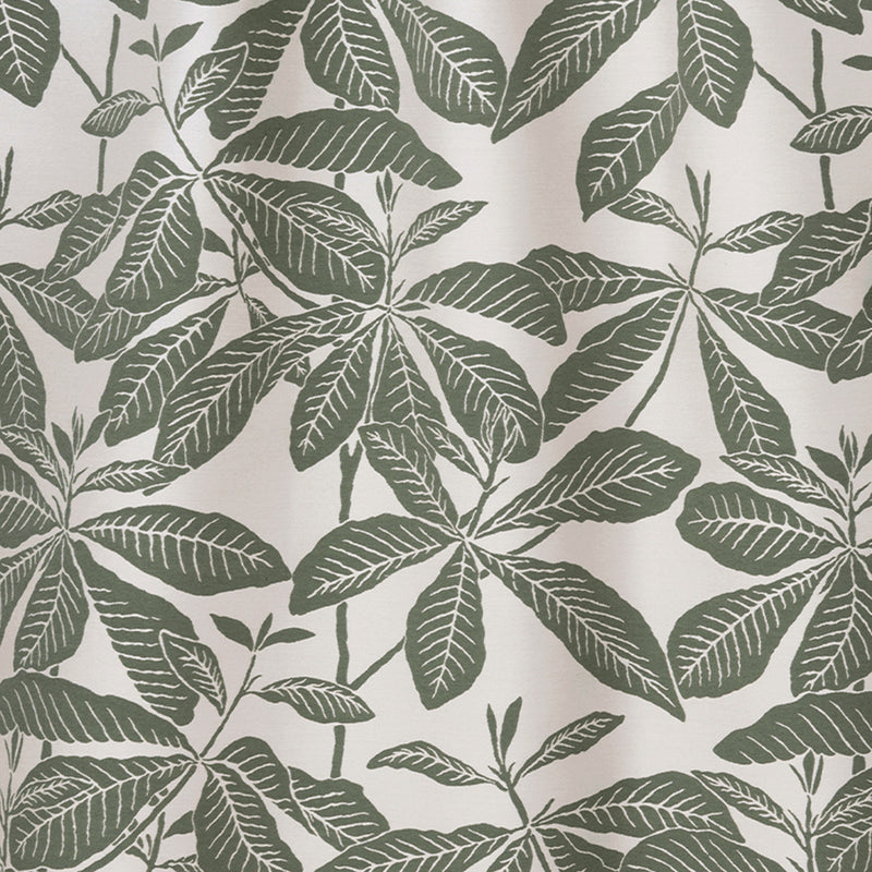 Ivory & Moss