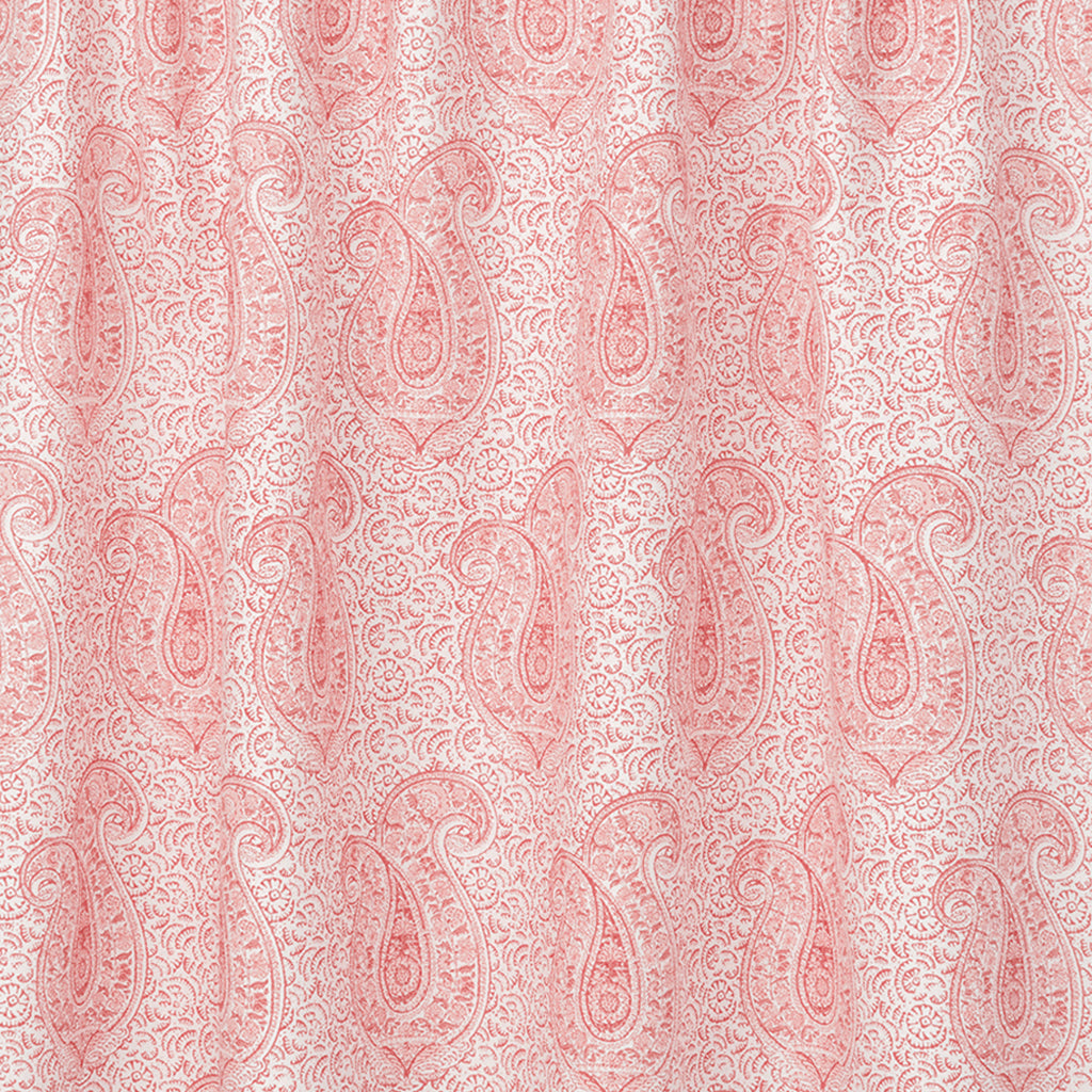 Coral & Salmon