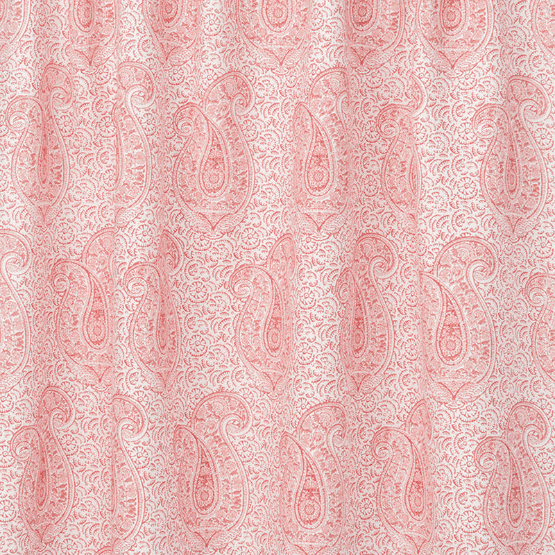 Coral & Salmon