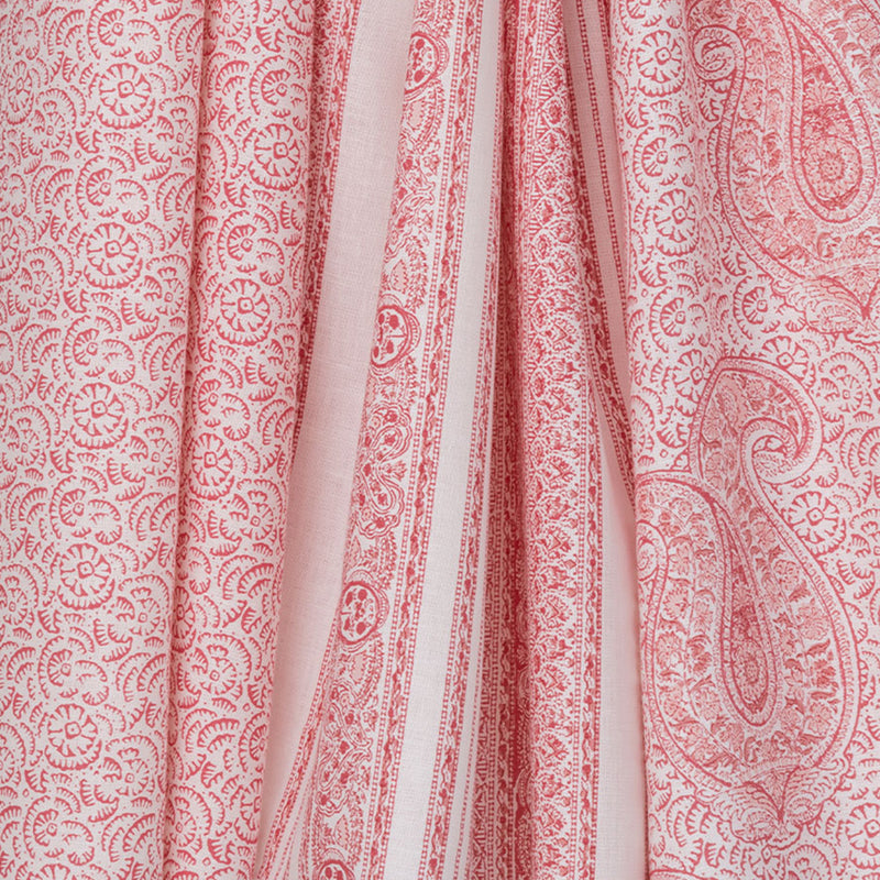 Coral & Salmon