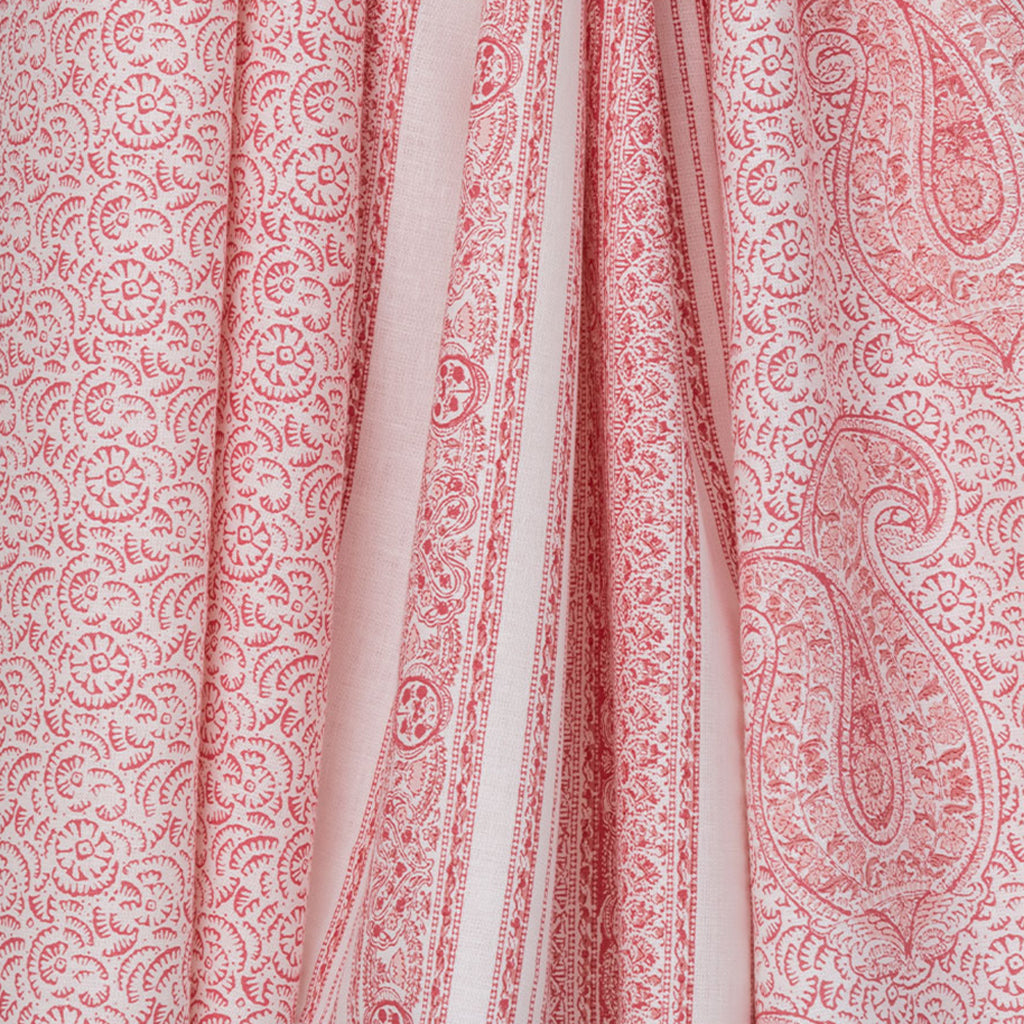 Coral & Salmon