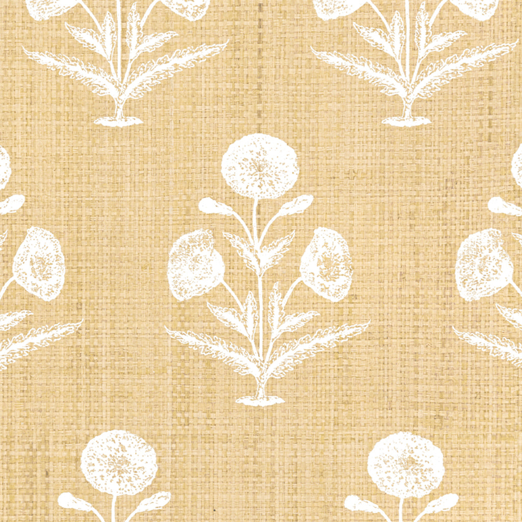 Papavero - Madagascar (Wallpaper Memo)