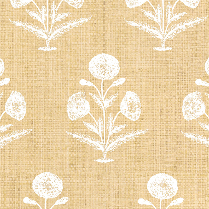 Papavero - Madagascar (Wallpaper Memo)