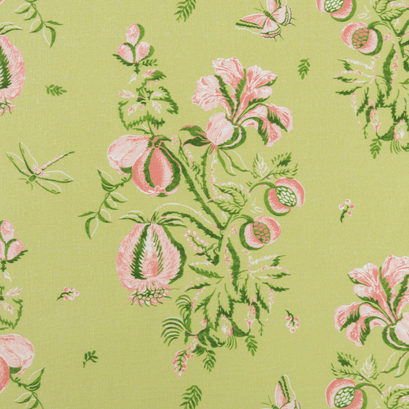 Celery & Shell
