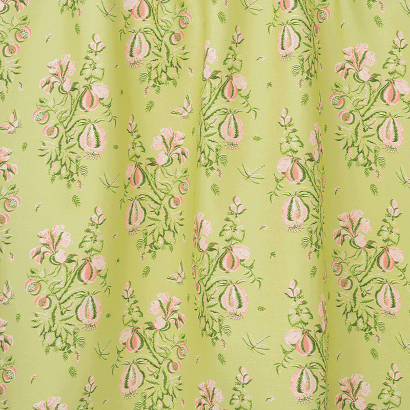Celery & Shell