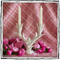 Cerise