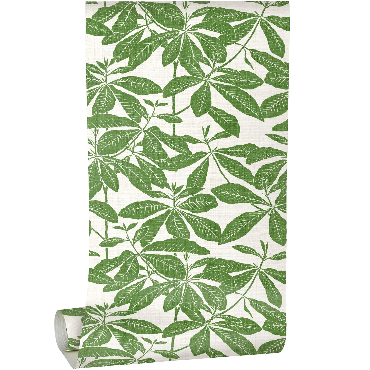 Leaf