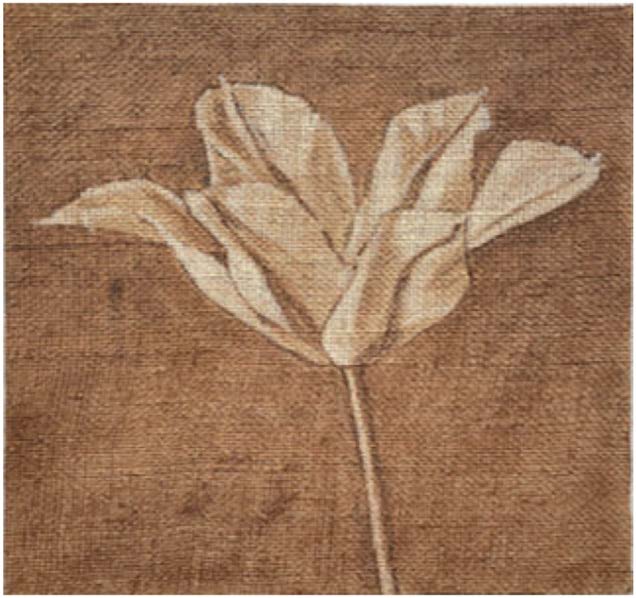 Open Tulip