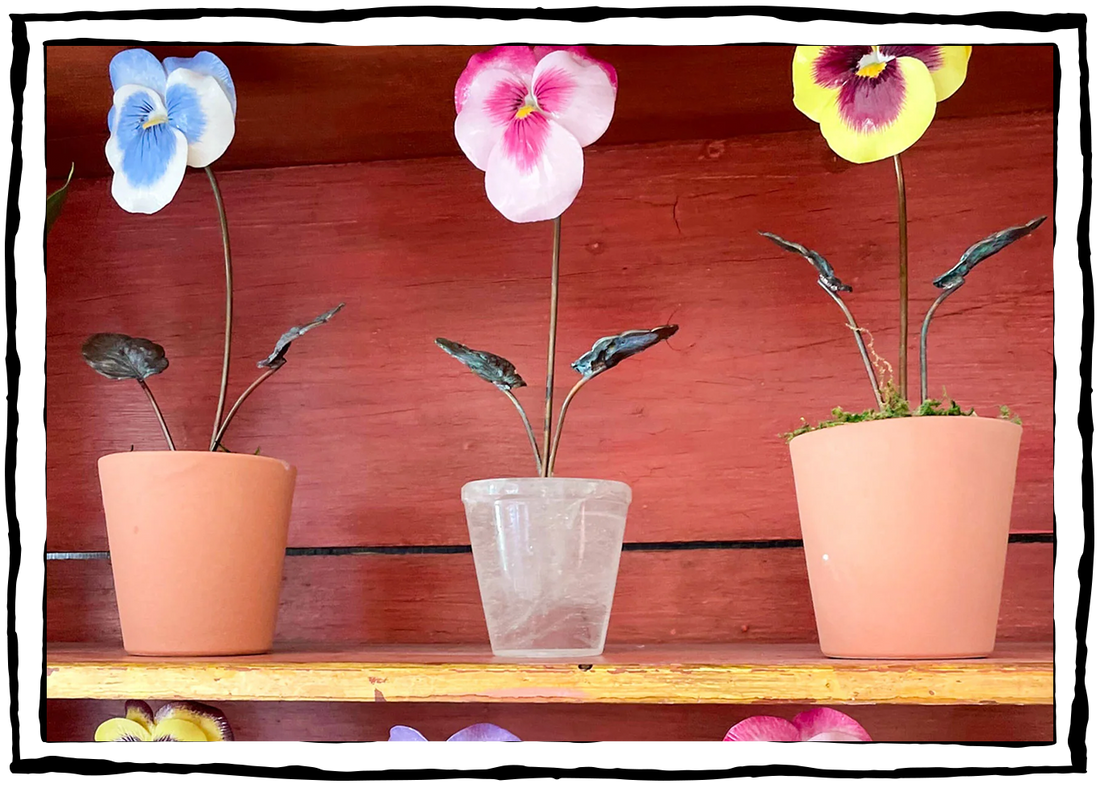 Forever Flowers: Samuel Mazy