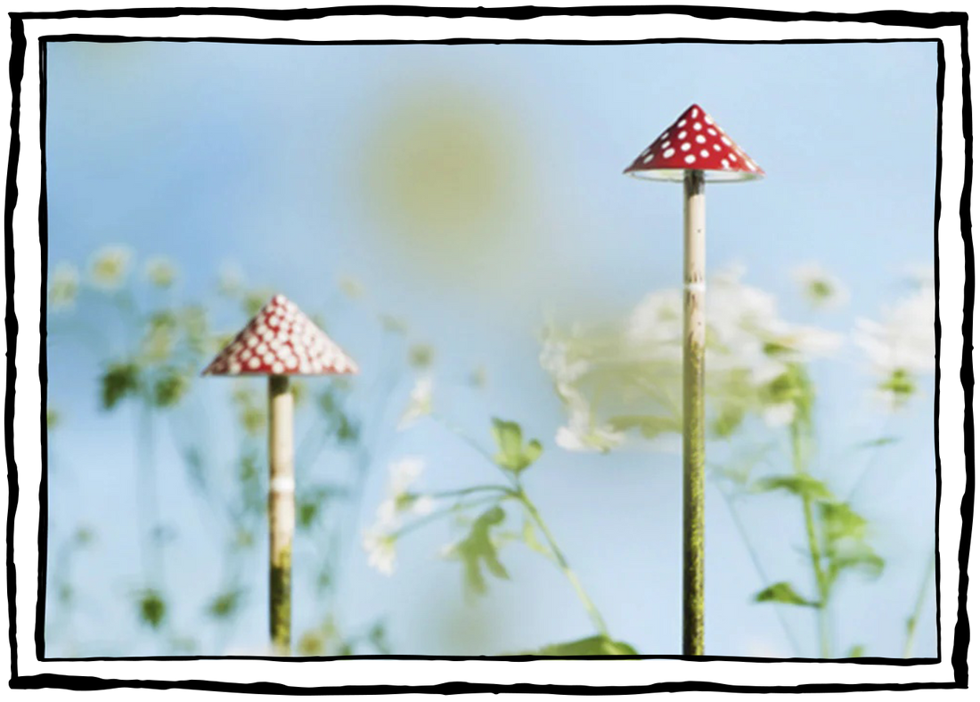 Artist Highlight: Margot Larkin