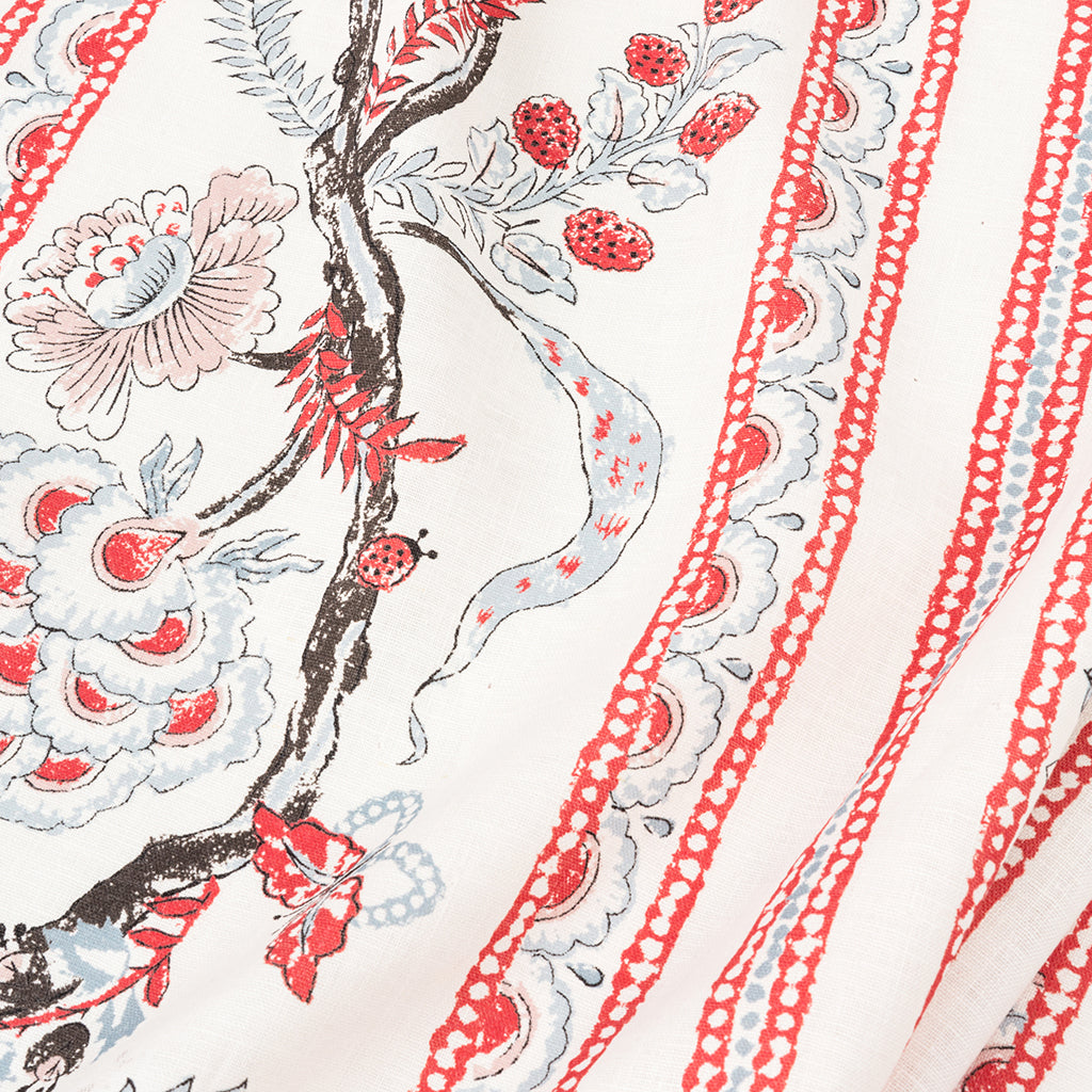 Sky & Coral