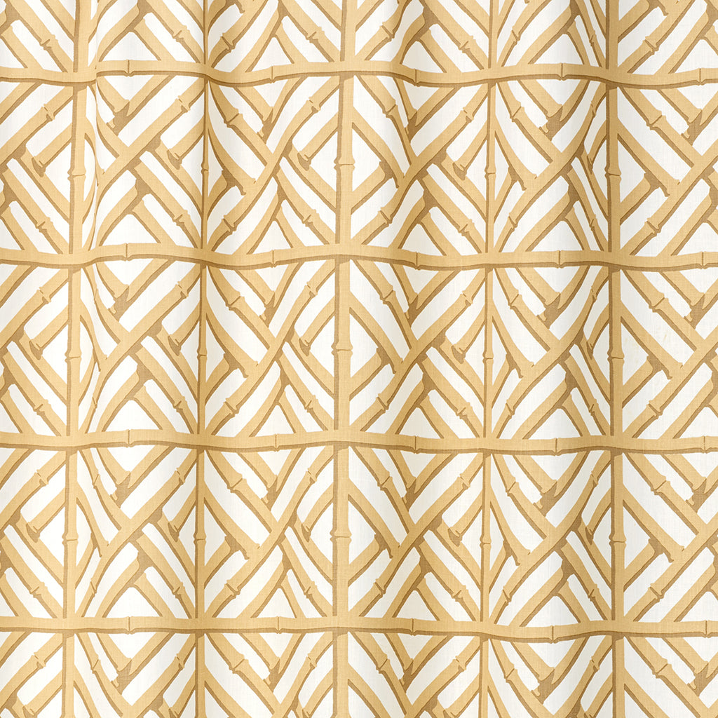 Toast on White