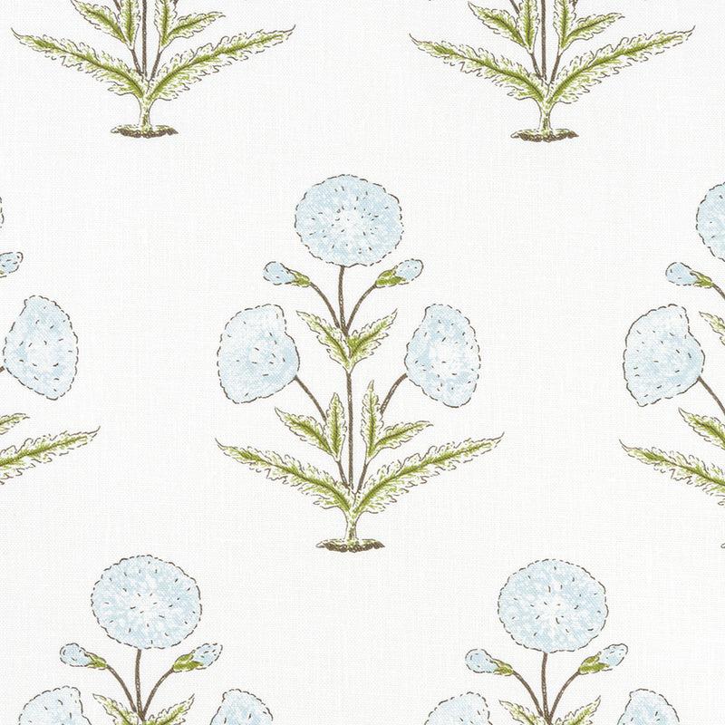 Papavero - Sky & Celery (Memo)