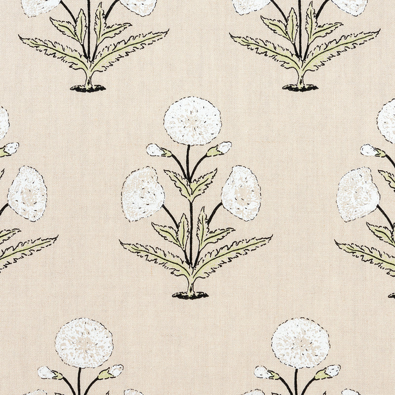 Papavero - White & Celery (Memo)