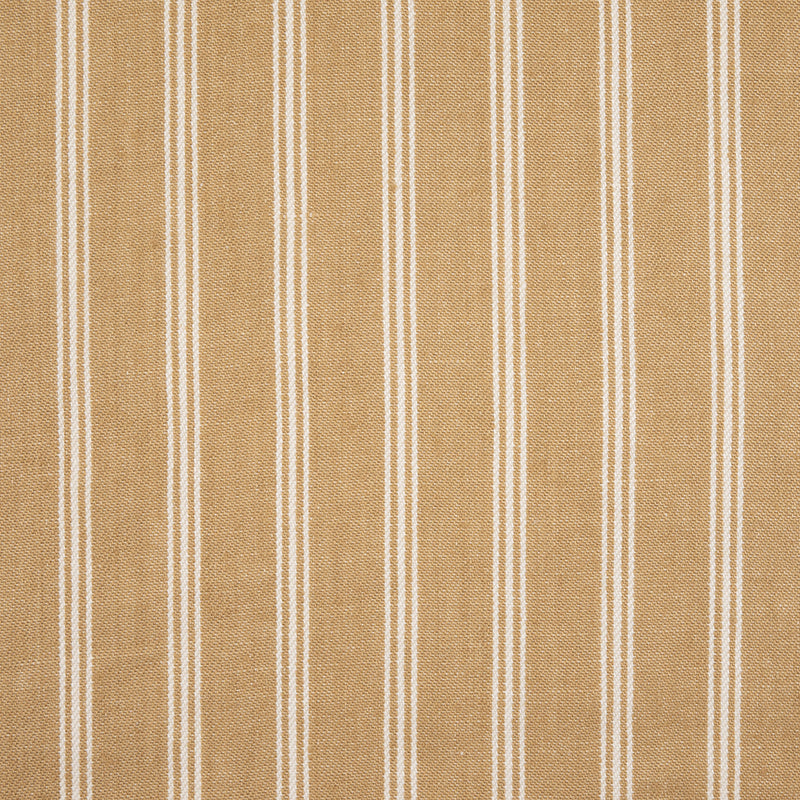 Branca Ticking - Biscotti (Memo)