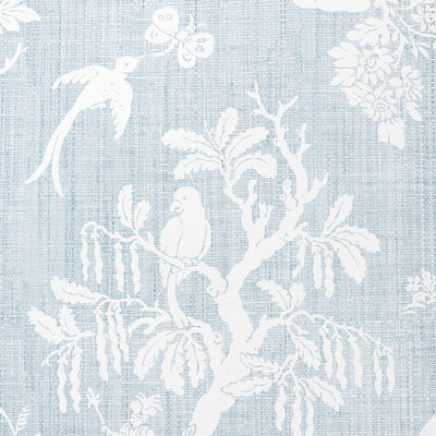 Animal Kingdom - Madagascar - Sky - (Wallpaper Memo)