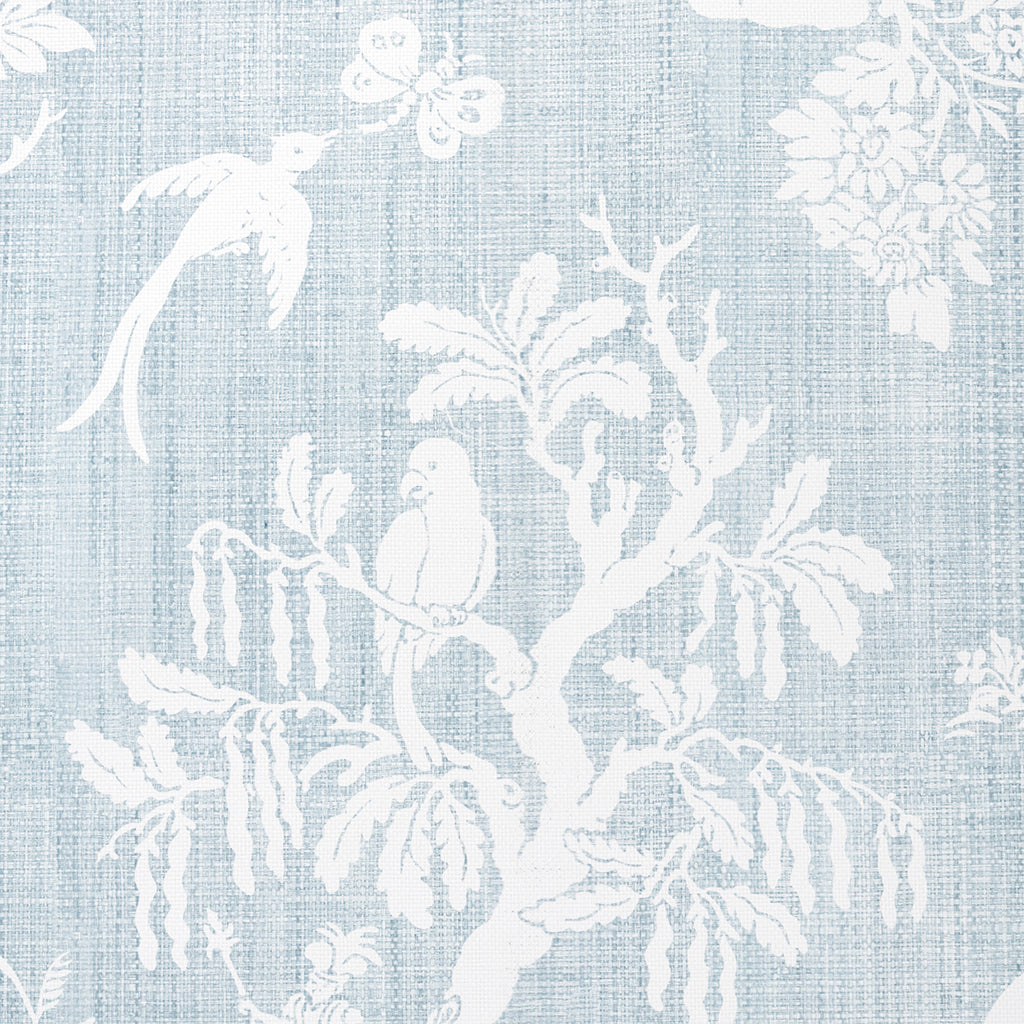 Animal Kingdom - Madagascar - Sky - (Wallpaper Memo)