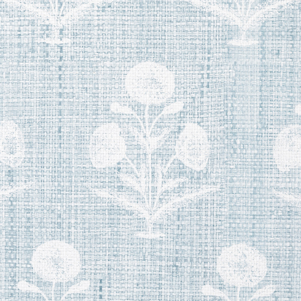 Papavero - Madagascar - Sky (Wallpaper Memo)