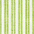 Branca Stripe Small - Madagascar - Apple (Wallpaper Memo)