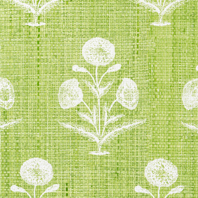 Papavero - Madagascar - Apple (Wallpaper Memo)