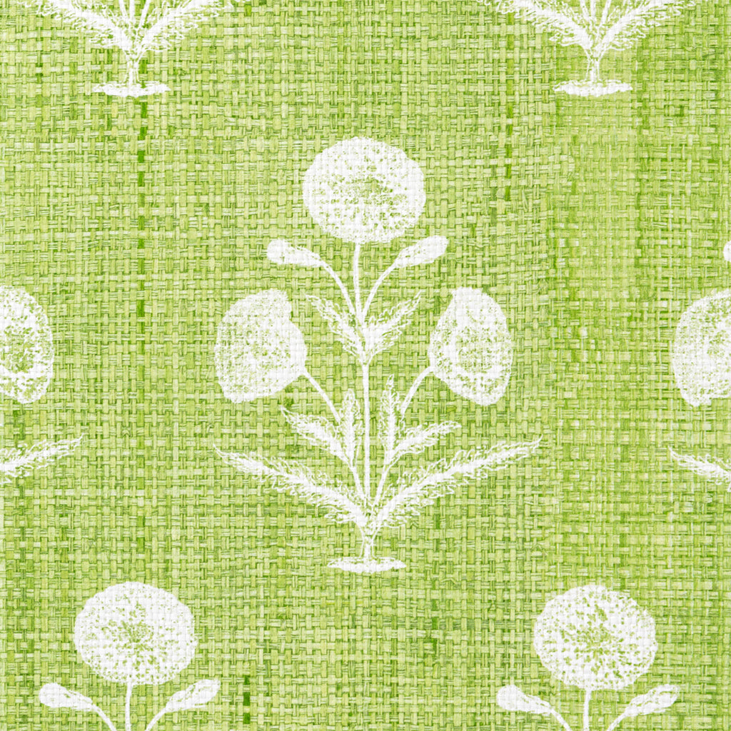 Papavero - Madagascar - Apple (Wallpaper Memo)