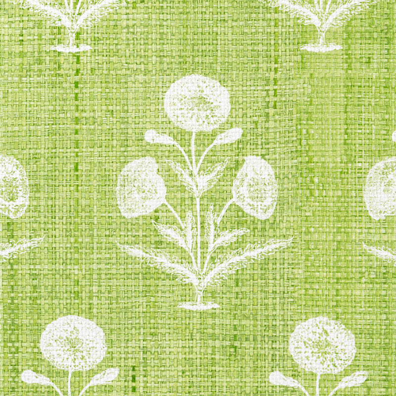 Papavero - Madagascar - Apple (Wallpaper Memo)