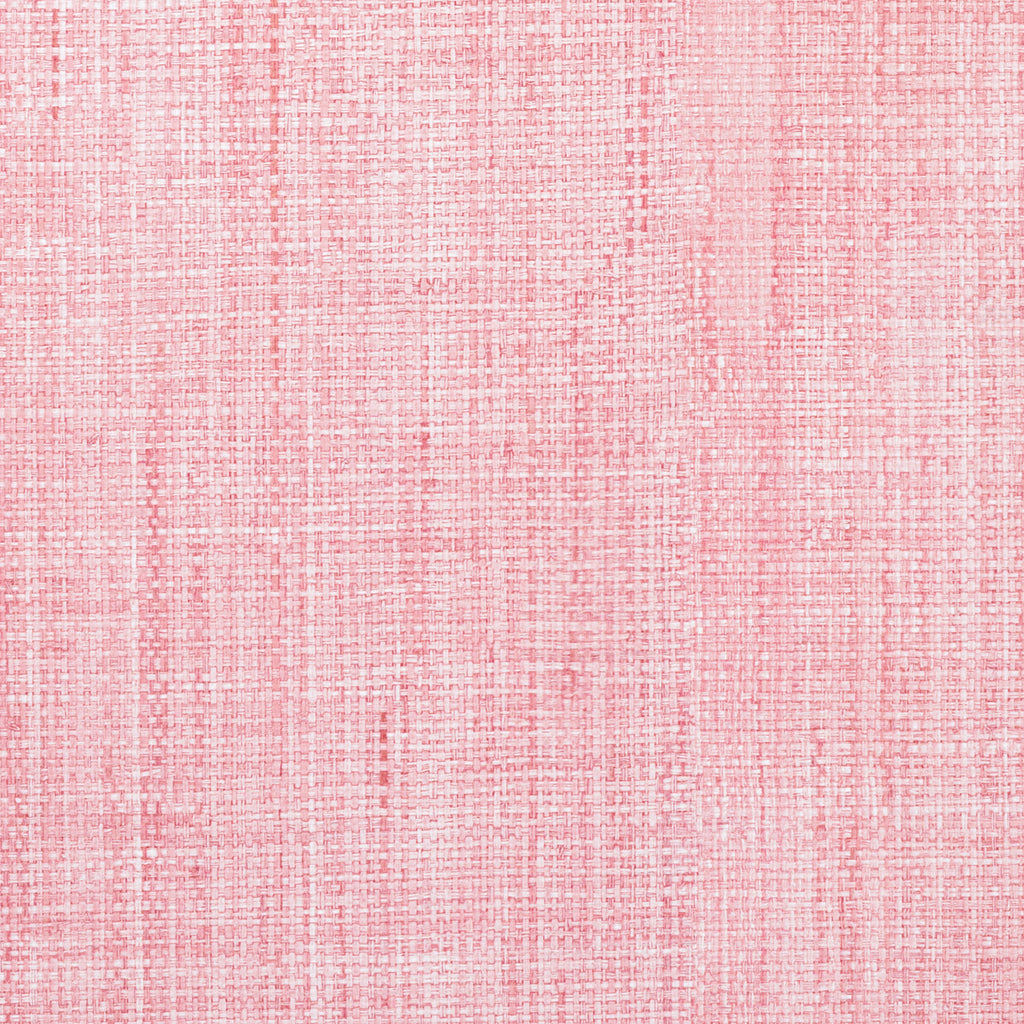 Madagascar - Salmon (Wallpaper Memo)