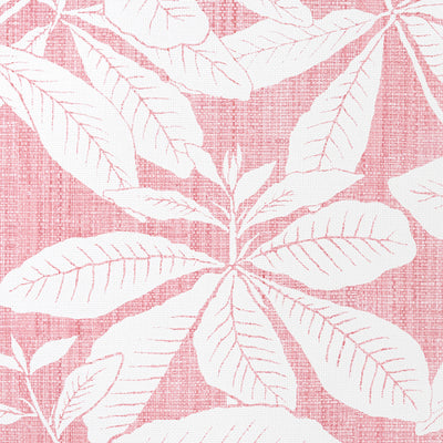 Foglia - Madagascar - Salmon (Wallpaper Memo)