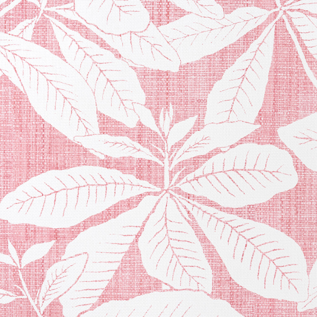 Foglia - Madagascar - Salmon (Wallpaper Memo)