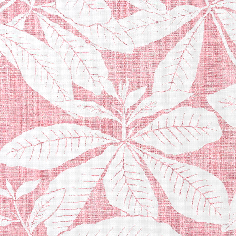 Foglia - Madagascar - Salmon (Wallpaper Memo)