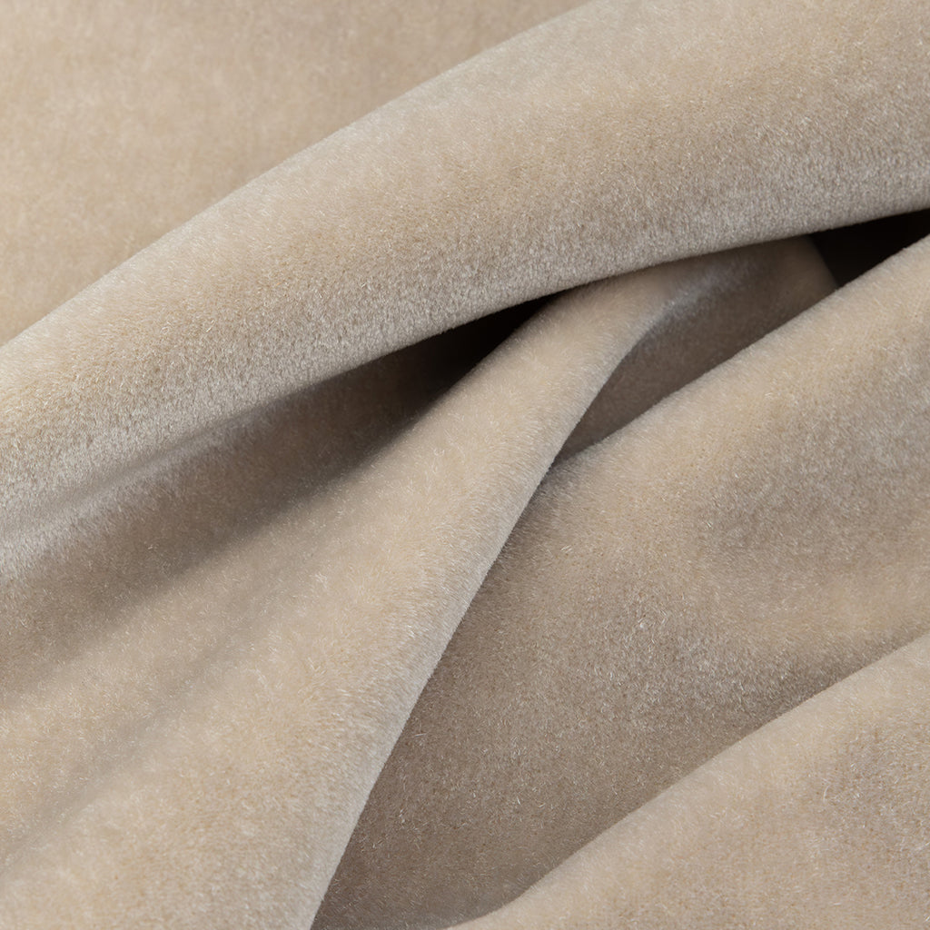 Fawn