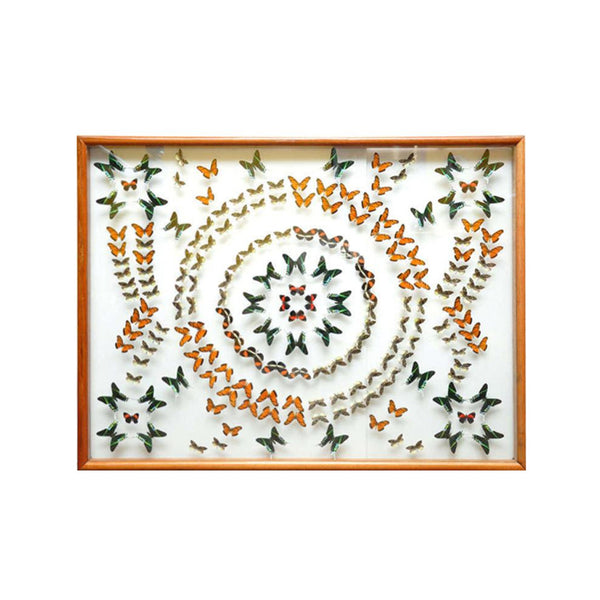 Butterfly Collection Mosaic