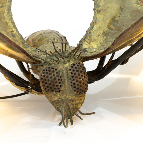 A Rare Papillion Illuminated Sculptural Coffee Table by Jacques Duval-Brasseur